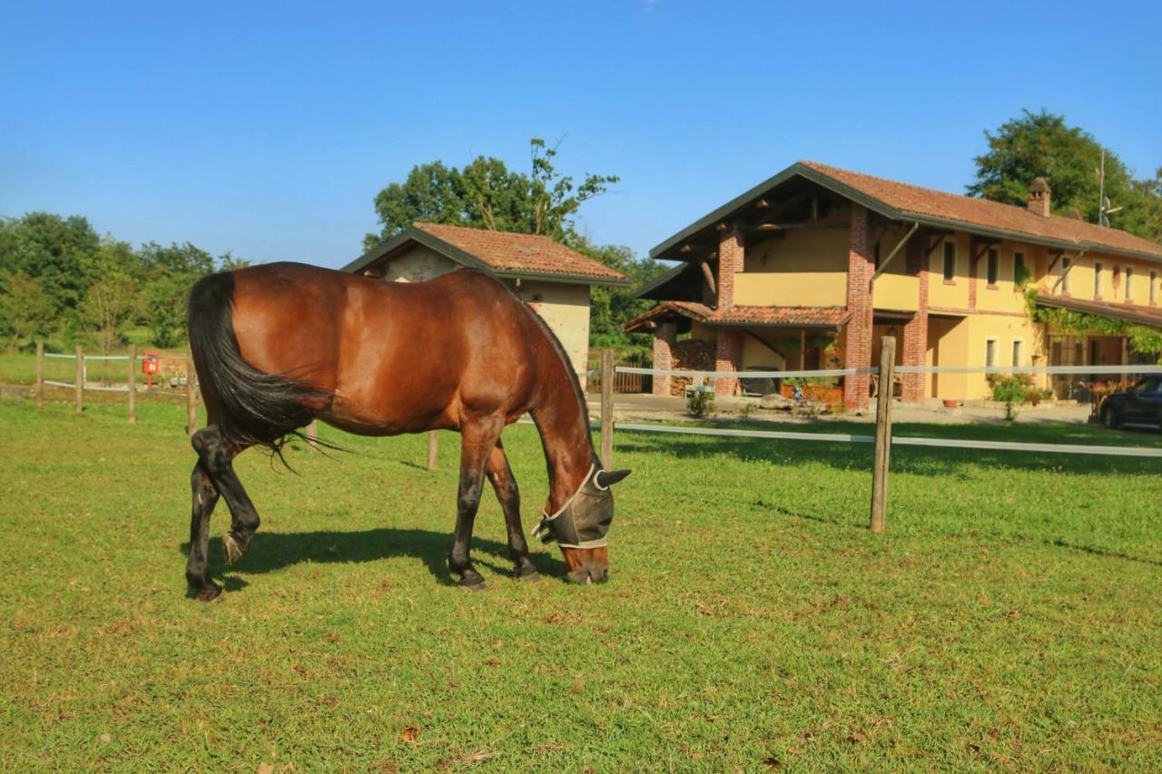 Agriturismo Helianthus Oleggio Exterior foto