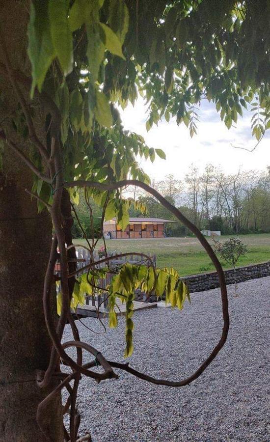 Agriturismo Helianthus Oleggio Exterior foto