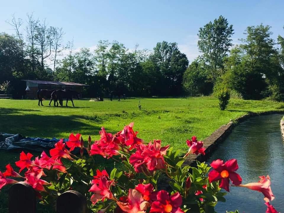 Agriturismo Helianthus Oleggio Exterior foto