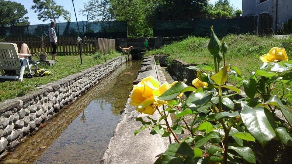 Agriturismo Helianthus Oleggio Exterior foto